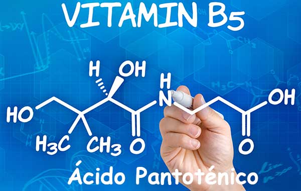 fórmula vitamina B5 o ácido pantoténico