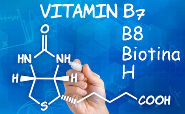Botina o tambien conocida como vitamina B8 B7 o H