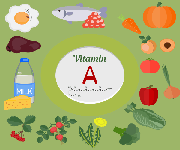 alimentos ricos en contenido de vitamina A o Retinol