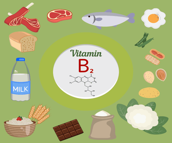 alimentos y fuentes ricas en vitamina B2 o Riboflavina