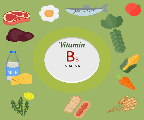 alimentos y fuentes ricas en vitamina B3 o Niacina