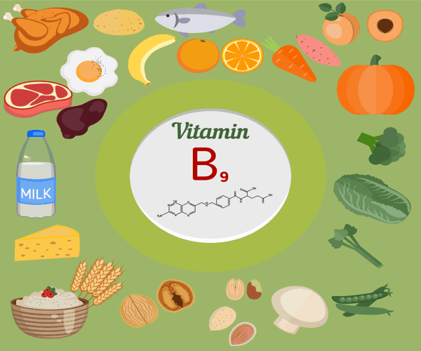 alimentos ricos en contenido de vitamina B9 o ácido fólico